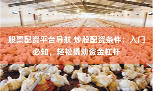 股票配资平台导航 炒股配资条件：入门必知，轻松撬动资金杠杆