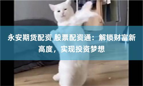 永安期货配资 股票配资通：解锁财富新高度，实现投资梦想