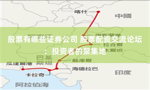 股票有哪些证券公司 股票配资交流论坛：投资者的聚集地