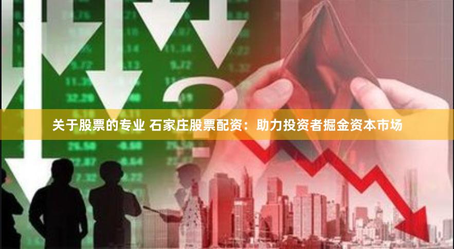 关于股票的专业 石家庄股票配资：助力投资者掘金资本市场